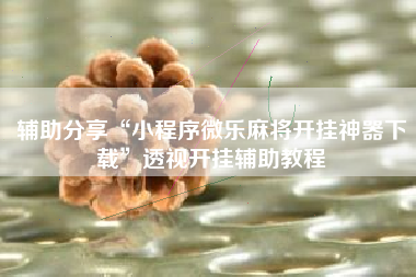 辅助分享“小程序微乐麻将开挂神器下载	”透视开挂辅助教程