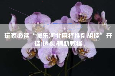 玩家必读“微乐河北麻将推倒胡挂”开挂(透视)辅助教程