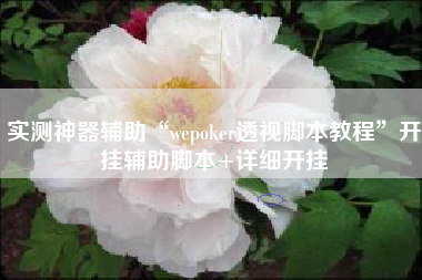 实测神器辅助“wepoker透视脚本教程”开挂辅助脚本+详细开挂