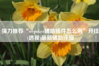 强力推荐“wepoker辅助插件怎么用	”开挂(透视)最新辅助详细