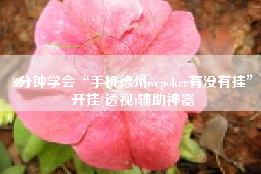 3分钟学会“手机德州wepoker有没有挂”开挂(透视)辅助神器