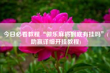 今日必看教程“微乐麻将到底有挂吗”(助赢详细开挂教程)