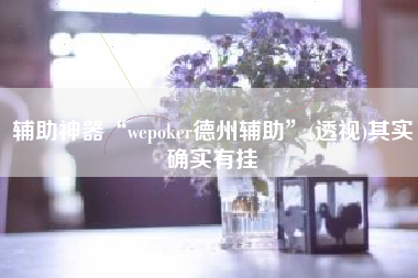 辅助神器“wepoker德州辅助	”(透视)其实确实有挂