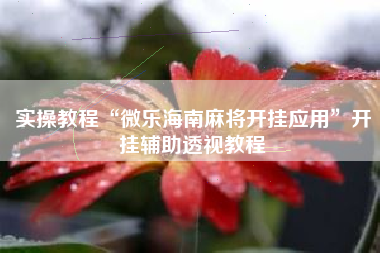 实操教程“微乐海南麻将开挂应用	”开挂辅助透视教程