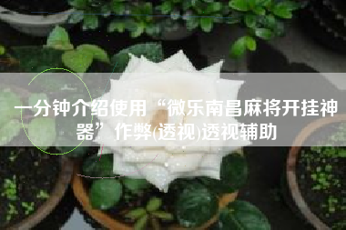 一分钟介绍使用“微乐南昌麻将开挂神器”作弊(透视)透视辅助