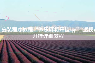 安装程序教程“微乐麻将开挂app”(透视)开挂详细教程