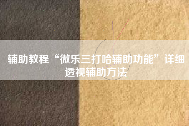 辅助教程“微乐三打哈辅助功能	”详细透视辅助方法