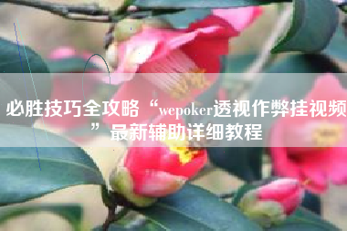 必胜技巧全攻略“wepoker透视作弊挂视频”最新辅助详细教程