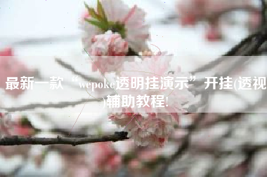 最新一款“wepoke透明挂演示”开挂(透视)辅助教程!