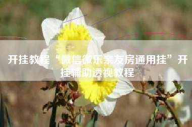 开挂教程“微信微乐亲友房通用挂”开挂辅助透视教程