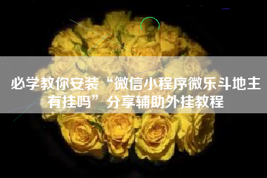 必学教你安装“微信小程序微乐斗地主有挂吗”分享辅助外挂教程