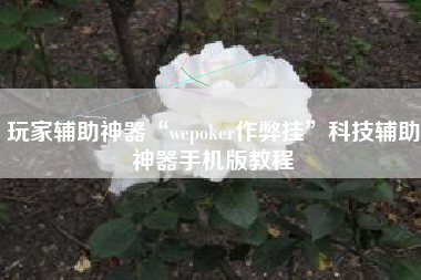 玩家辅助神器“wepoker作弊挂”科技辅助神器手机版教程