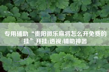 专用辅助“贵阳微乐麻将怎么开免费的挂	”开挂(透视)辅助神器