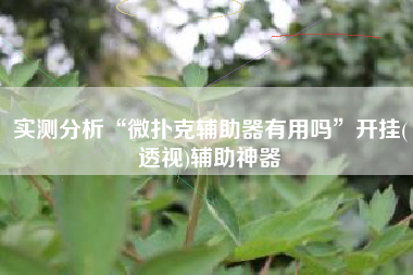 实测分析“微扑克辅助器有用吗”开挂(透视)辅助神器