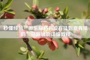 秒懂经验“微乐麻将有没有挂到底有挂吗”最新辅助详细教程