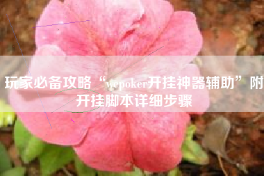 玩家必备攻略“wepoker开挂神器辅助	”附开挂脚本详细步骤