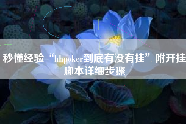 秒懂经验“hhpoker到底有没有挂	”附开挂脚本详细步骤