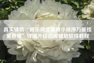 真实辅助“微乐河北麻将小程序万能挂免费版”详细外挂透视辅助软件教程