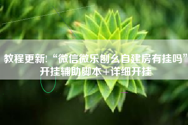 教程更新!“微信微乐刨幺自建房有挂吗	”开挂辅助脚本+详细开挂