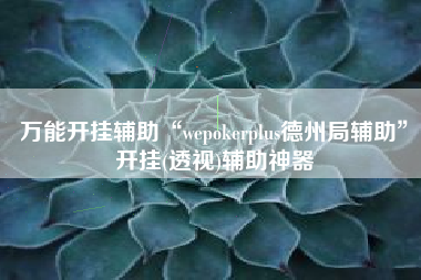 万能开挂辅助“wepokerplus德州局辅助”开挂(透视)辅助神器