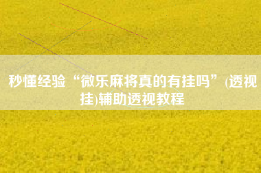 秒懂经验“微乐麻将真的有挂吗	”(透视挂)辅助透视教程