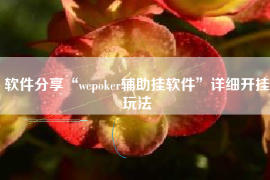 软件分享“wepoker辅助挂软件”详细开挂玩法
