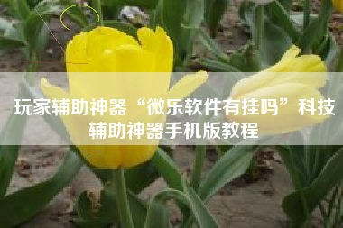 玩家辅助神器“微乐软件有挂吗	”科技辅助神器手机版教程