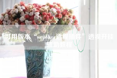 可用版本“wepoKer透视插件	”透视开挂辅助教程