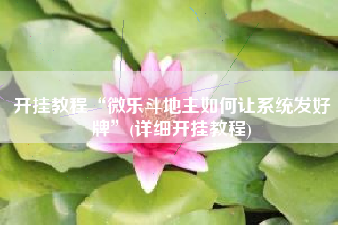 开挂教程“微乐斗地主如何让系统发好牌”(详细开挂教程)