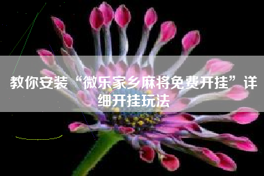 教你安装“微乐家乡麻将免费开挂	”详细开挂玩法