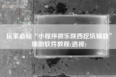 玩家必知“小程序微乐陕西挖坑辅助”辅助软件教程(透视)