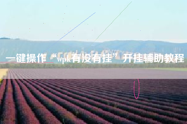 一键操作“wpk有没有挂”开挂辅助教程
