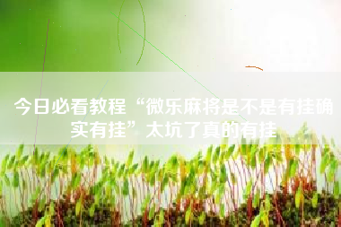 今日必看教程“微乐麻将是不是有挂确实有挂”太坑了真的有挂