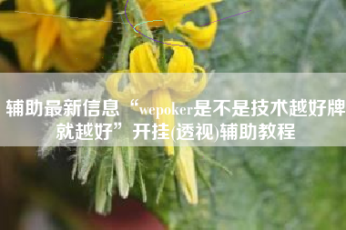 辅助最新信息“wepoker是不是技术越好牌就越好”开挂(透视)辅助教程