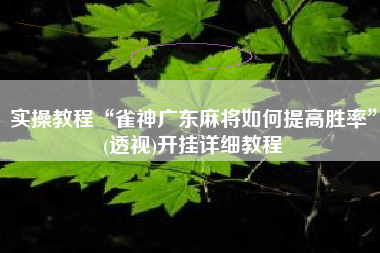 实操教程“雀神广东麻将如何提高胜率	”(透视)开挂详细教程