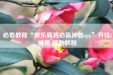 必看教程“微乐麻将必赢神器app”开挂(透视)辅助教程