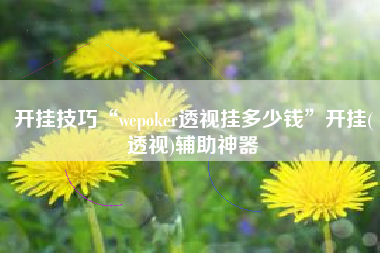 开挂技巧“wepoker透视挂多少钱”开挂(透视)辅助神器