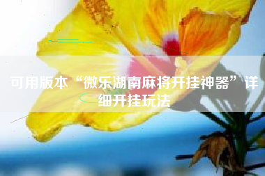 可用版本“微乐湖南麻将开挂神器”详细开挂玩法