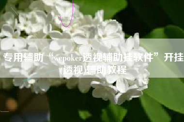 专用辅助“wepoker透视辅助挂软件	”开挂(透视)辅助教程