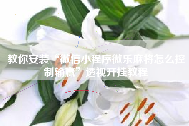 教你安装“微信小程序微乐麻将怎么控制输赢”透视开挂教程