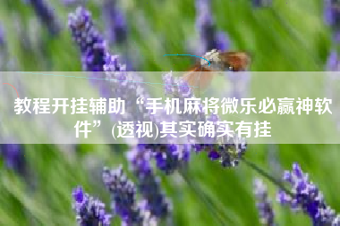 教程开挂辅助“手机麻将微乐必赢神软件”(透视)其实确实有挂