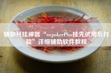 辅助开挂神器“wepokerPlus挂先试用后付款	”详细辅助软件教程