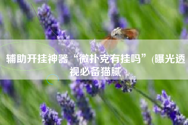 辅助开挂神器“微扑克有挂吗”(曝光透视必备猫腻