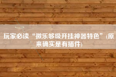玩家必读“微乐够级开挂神器特色”(原来确实是有插件)