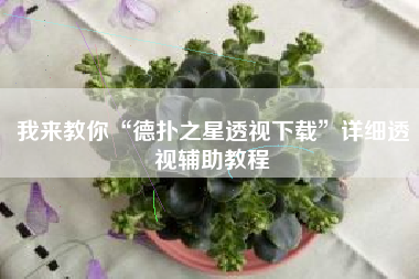 我来教你“德扑之星透视下载”详细透视辅助教程