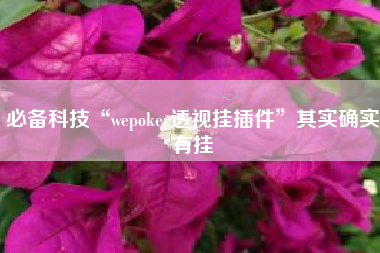 必备科技“wepoker透视挂插件”其实确实有挂