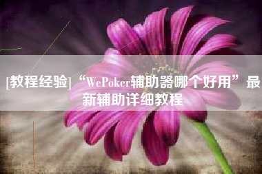 [教程经验]“WePoker辅助器哪个好用	”最新辅助详细教程