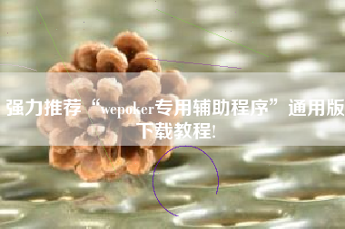 强力推荐“wepoker专用辅助程序	”通用版下载教程!