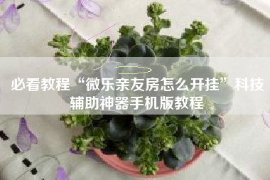 必看教程“微乐亲友房怎么开挂”科技辅助神器手机版教程