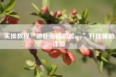 实操教程“微扑克辅助器app	”开挂辅助详细